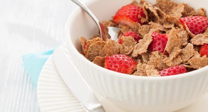 Essential Things To Know About High-Fiber Diet