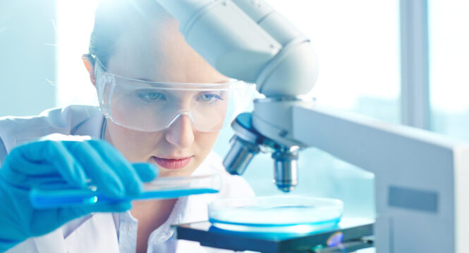 Everything You Need To Know About Dna Testing