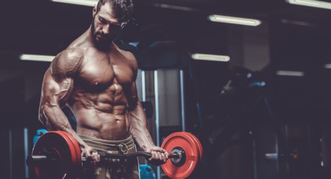 6 Bodybuilding Tips For Beginners