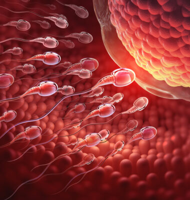 The Neuroscience of Orgasm: Understanding How the Brain Responds to Sexual Stimulation