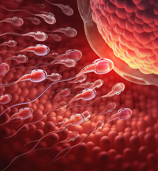 The Neuroscience of Orgasm: Understanding How the Brain Responds to Sexual Stimulation