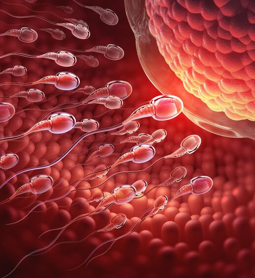 The Neuroscience of Orgasm: Understanding How the Brain Responds to Sexual Stimulation