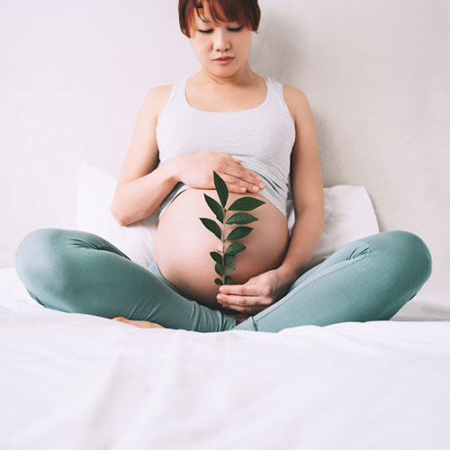 Pregnant lady with a green plant